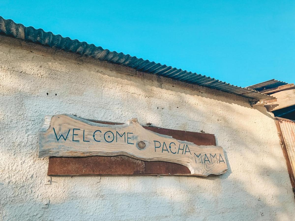 דירות Alcácer do Sal Visit Pachamama Community מראה חיצוני תמונה